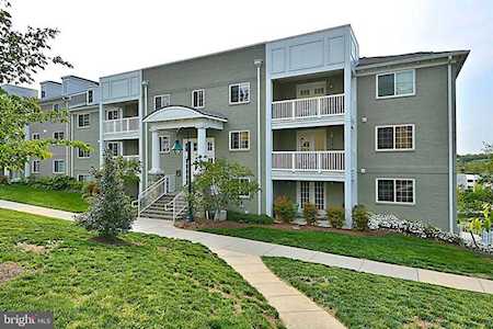 4119 Four Mile Run Dr #401 Arlington, VA 22204