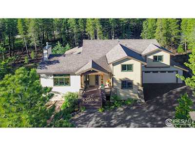 225 Indian Peaks Dr Nederland, CO 80466