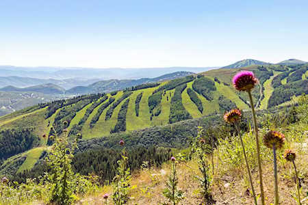 238 White Pine Canyon Rd Park City, UT 84060