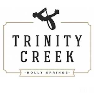 304 Sweetbriar Rose Court Holly Springs, NC 27540