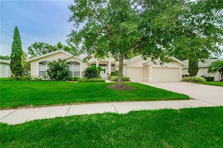 3132 Sterling Street Tarpon Springs, FL 34688