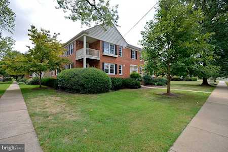 6507 10th St #A1 Alexandria, VA 22307