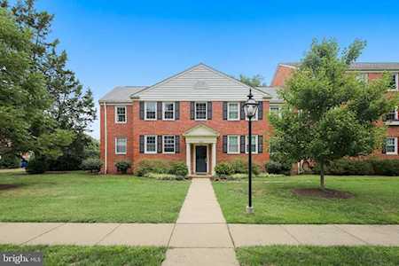 6623 10th St #B1 Alexandria, VA 22307