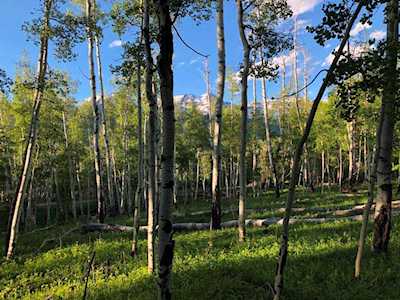 449 Wapiti Road #37 Telluride, COLORADO 81435