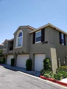 35780 Hazelhurst St #1 Murrieta, CA 92562