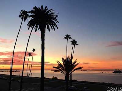 2601 E Ocean Boulevard #210 Long Beach, CA 90803