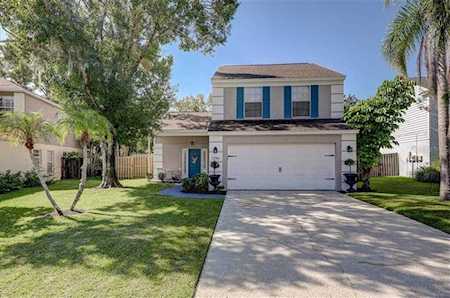 3744 Fremantle Drive Palm Harbor, FL 34684