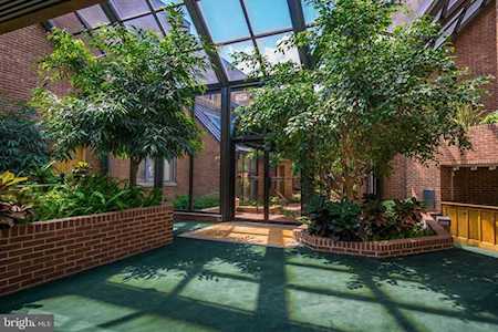 1080 Wisconsin Ave NW #505 Washington, DC 20007