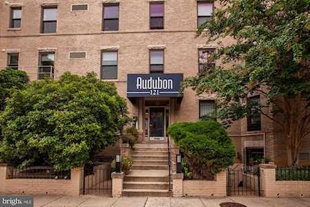 121 13th St NE #201 Washington, DC 20002