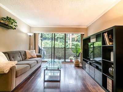330 E 7th Avenue #217 Vancouver, BC V5T 4K5
