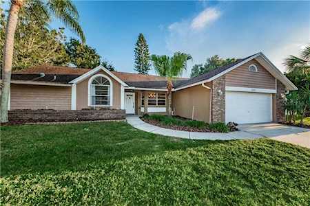 1644 N Allens Ridge Drive Palm Harbor, FL 34683