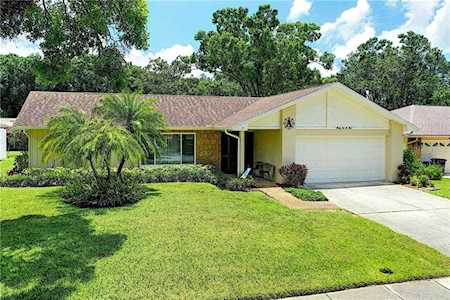 3204 Macgregor Drive Palm Harbor, FL 34684