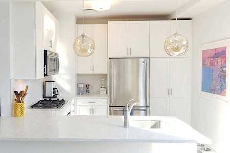 700 Harrison Ave #315 Boston, MA 02118