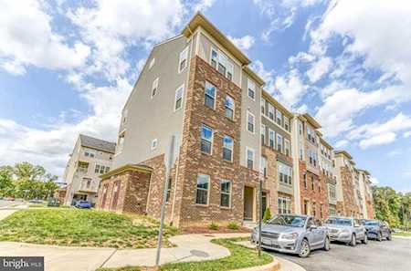 41470 Horse Chestnut Terrace Aldie, VA 20105
