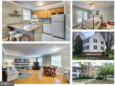 1317 Walter Reed Dr #17102 Arlington, VA 22204