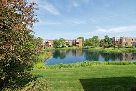 362 Kelburn Rd #225 Deerfield, IL 60015