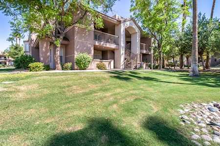 17017 N 12th Street #2013 Phoenix, AZ 85022