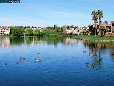 4075 W Lakeshore Dr San Ramon, CA 94582