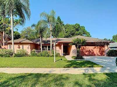 3130 E Lake Valencia Lane Palm Harbor, FL 34684