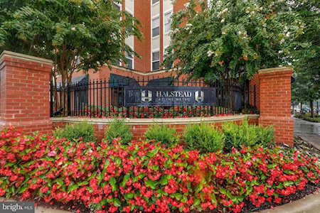 2655 Prosperity Ave #448 Fairfax, VA 22031