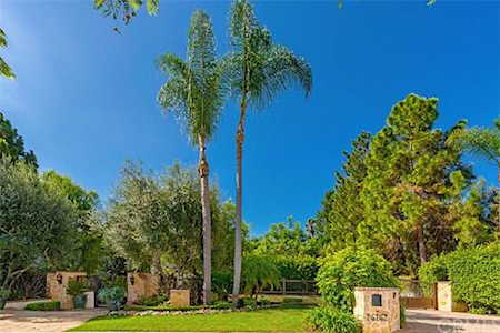 26162 Calle Roberto San Juan Capistrano, CA 92675