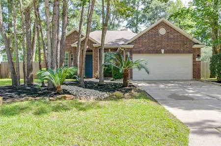 6 Leaf Spring Place Spring, TX 77382