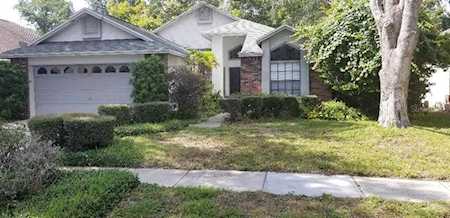 295 Morning Glory Drive Lake Mary, FL 32746