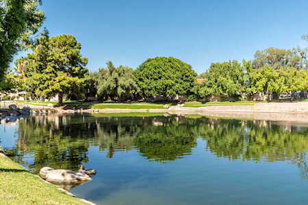 11042 N 28th Drive #136 Phoenix, AZ 85029