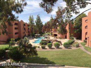4303 E Cactus Road #235 Phoenix, AZ 85032
