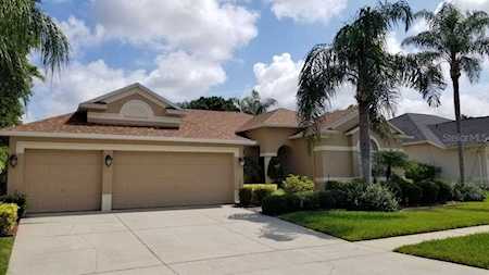 9009 Lake Coventry Court Gotha, FL 34734