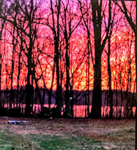 14412 Oldham Acres Rd Prospect, KY 40059