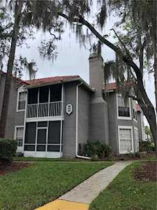 905 Northern Dancer Way #203 Casselberry, FL 32707