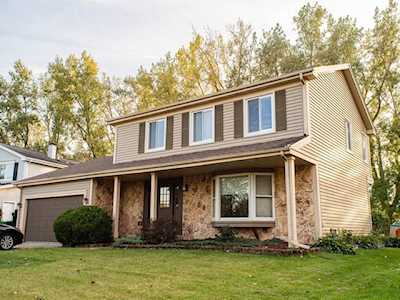 1206 Lockwood Dr Buffalo Grove, IL 60089