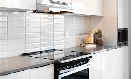 30930 Westridge Place #103 Abbotsford, BC V2T 0H6