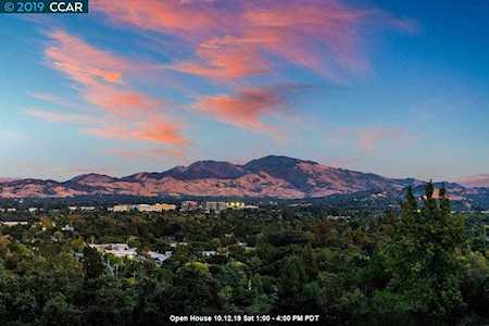 29 Belmont Ct Pleasant Hill, CA 94523-4015