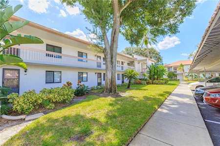 138 Lakeview Way Oldsmar, FL 34677