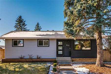603 Meota Road NE Calgary, AB T2E 5W8