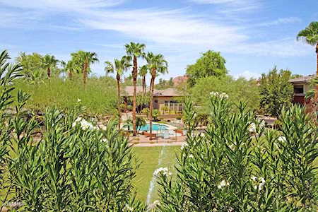 5401 E Van Buren Street #3017 Phoenix, AZ 85008