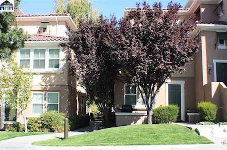 3317 Monaghan Street Dublin, CA 94568