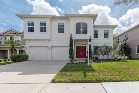 514 Harbor Grove Circle Safety Harbor, FL 34695