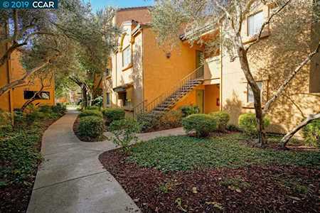 745 Watson Canyon Ct San Ramon, CA 94582