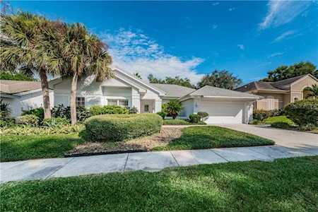 2883 Spring Oak Court Palm Harbor, FL 34684