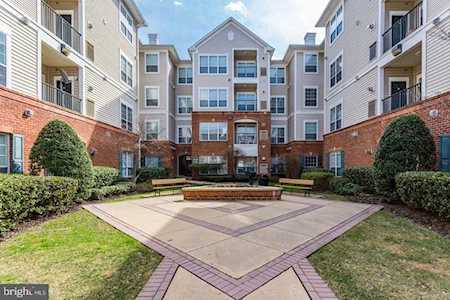 4860 Eisenhower Ave #488 Alexandria, VA 22304