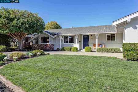 240 Los Felicas Ave Walnut Creek, CA 94598