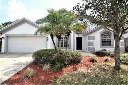 9303 Rockrose Drive Tampa, FL 33647