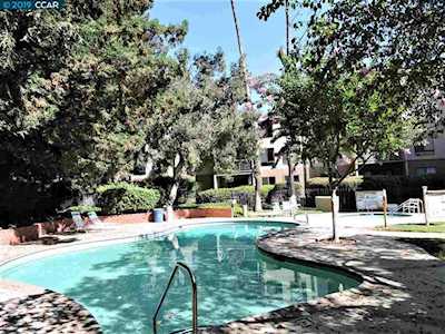 320 N Civic Drive #304 Walnut Creek, CA 94596