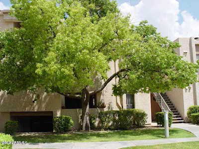 7510 E Thomas Road #220 Scottsdale, AZ 85251