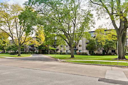 2315 E Olive St #1H Arlington Heights, IL 60004