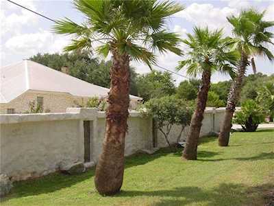 340 Barton Ranch Rd Dripping Springs, TX 78620
