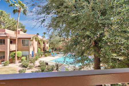 10101 N Arabian Trail #2009 Scottsdale, AZ 85258